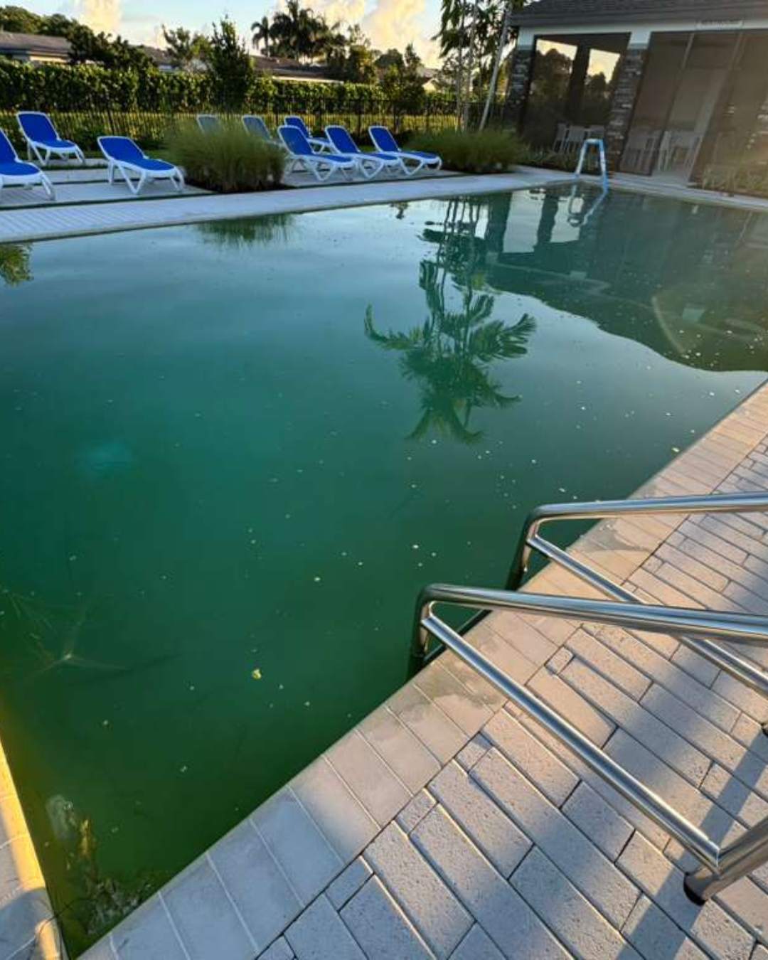 Algae Removal19