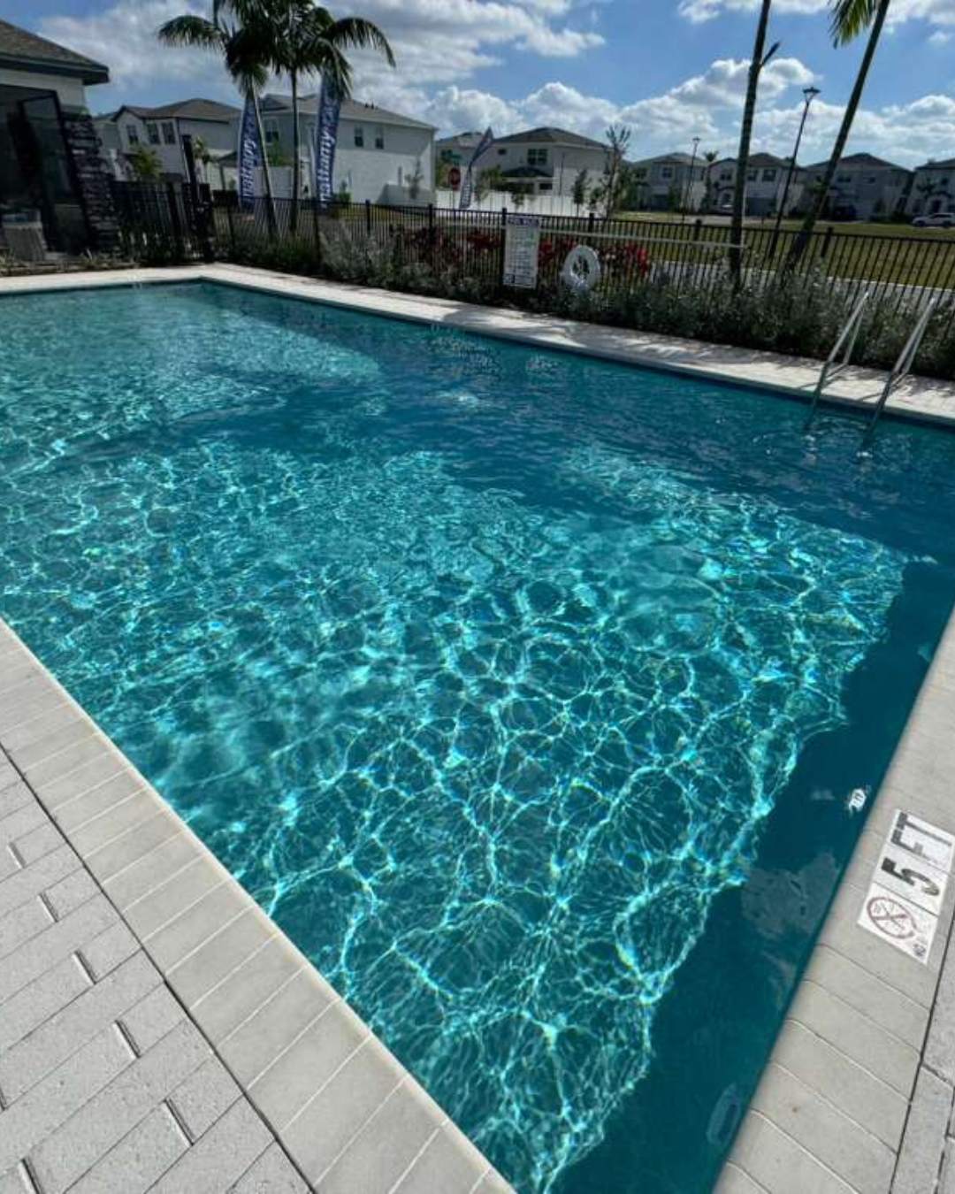 Algae Removal20